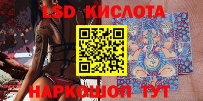 PSILOCYBIN Новокубанск