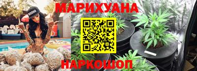 МДПВ Новодвинск