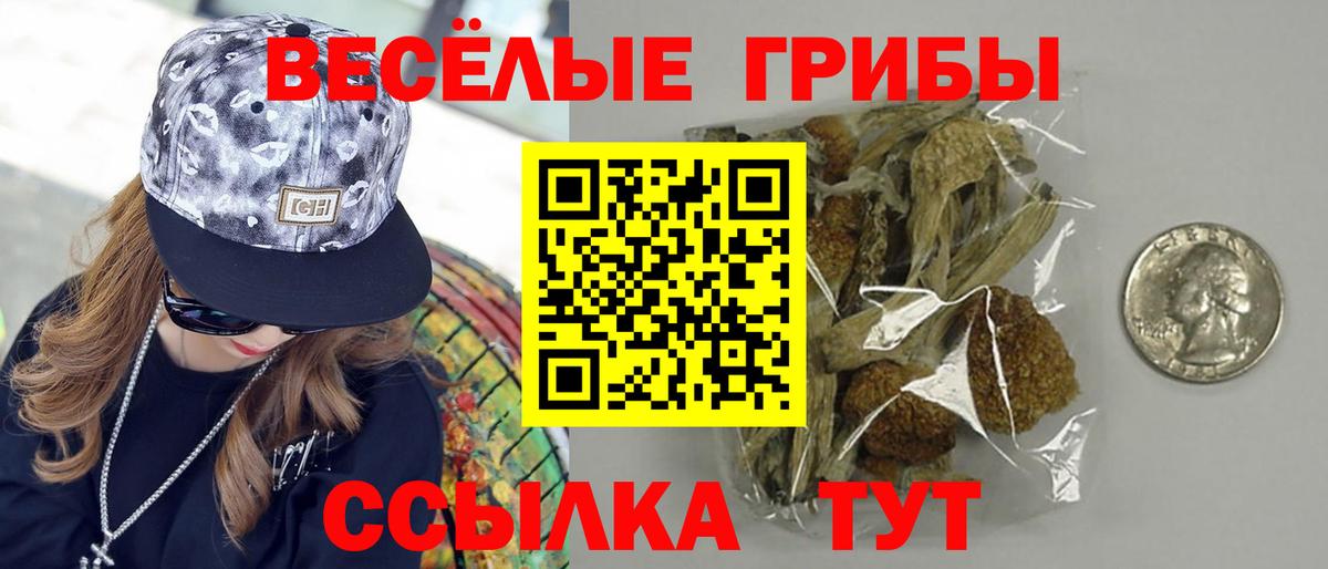 Галлюциногенные грибы Cubensis Северск